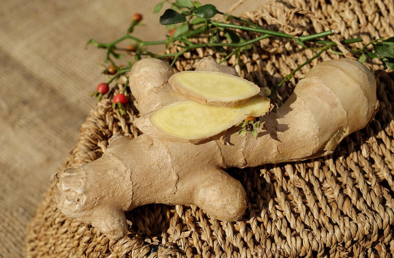 ginger, ingber, immerwurzel, root, sharp, seasoning, food, medicinal plant, healthy, ginger, ginger, ginger, ginger, ginger
